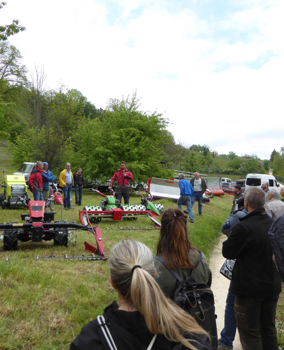 Demo Hangmäher am Sissacher Rebberg, Mai 2019, Stefan Grichting