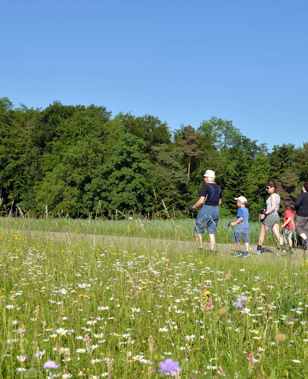 Wiesentouren Baselland