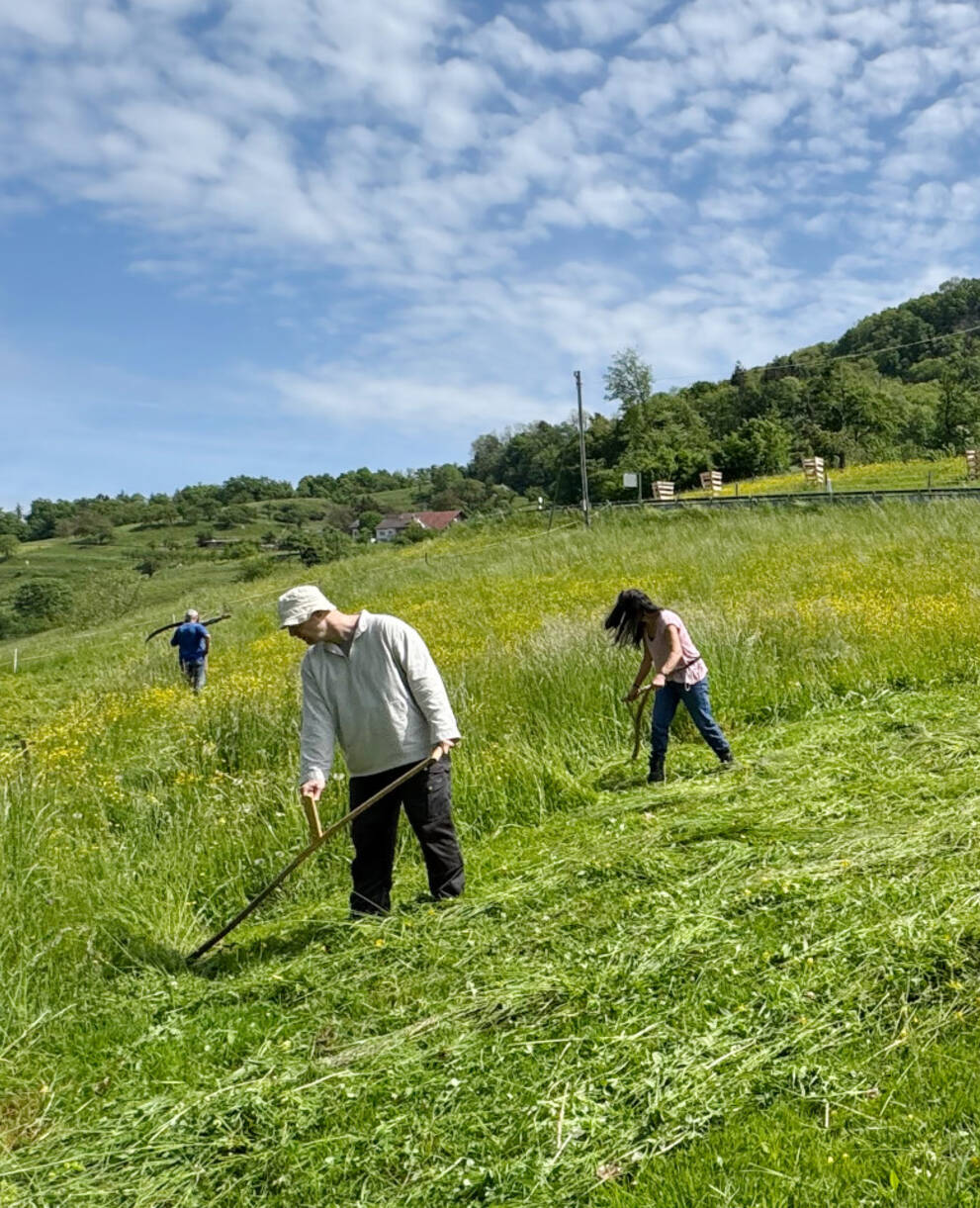 Sensenkurs in Sissach