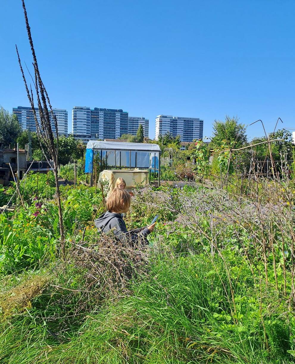 Forschen im WildStadtGarten