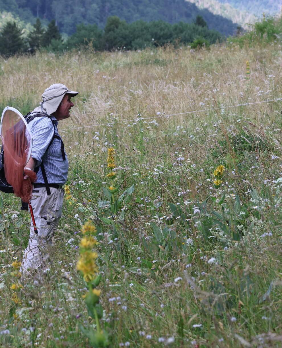 Arbeitsgruppe Tagfalterschutz Baselland