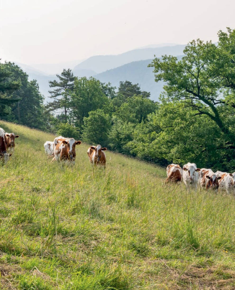 Kalender «Natur 2027»