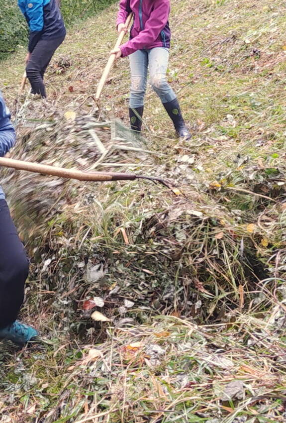 gemeinsam Arbeiten für die Natur