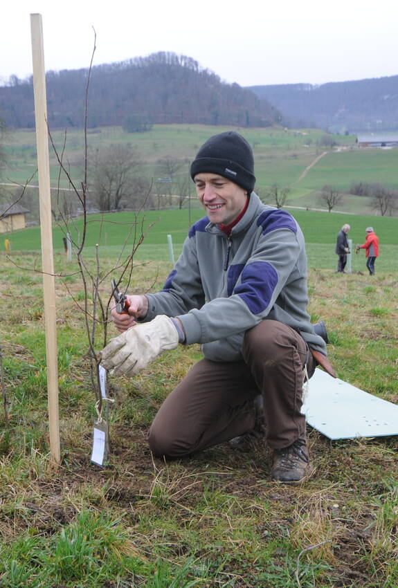 Der Spätherbst ist der ideale Zeitpunkt für das Pflanzen von Wildsträuchern.