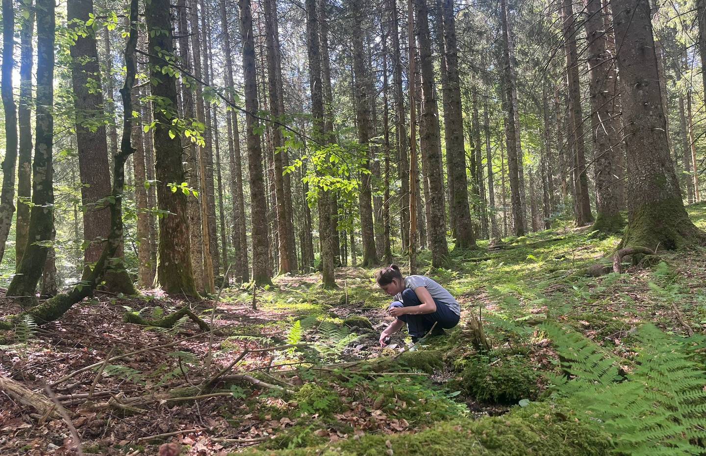 Quellstandort Wald
