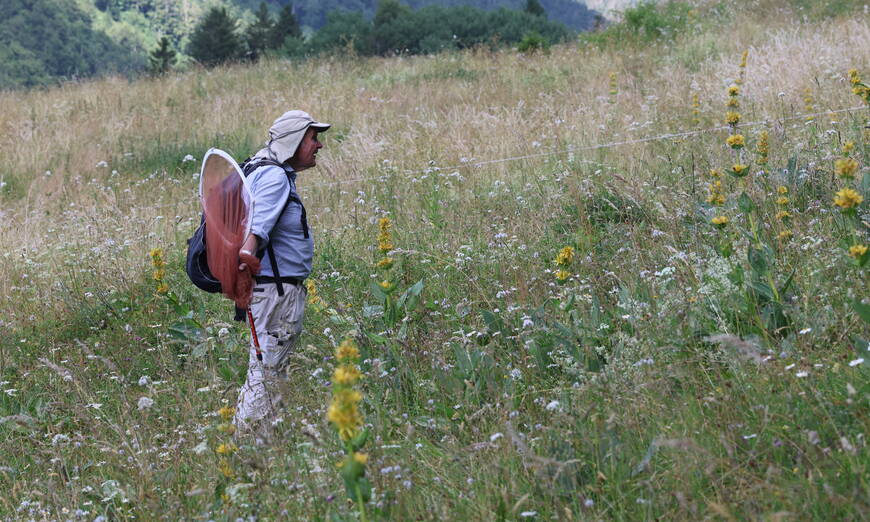 Arbeitsgruppe Tagfalterschutz Baselland